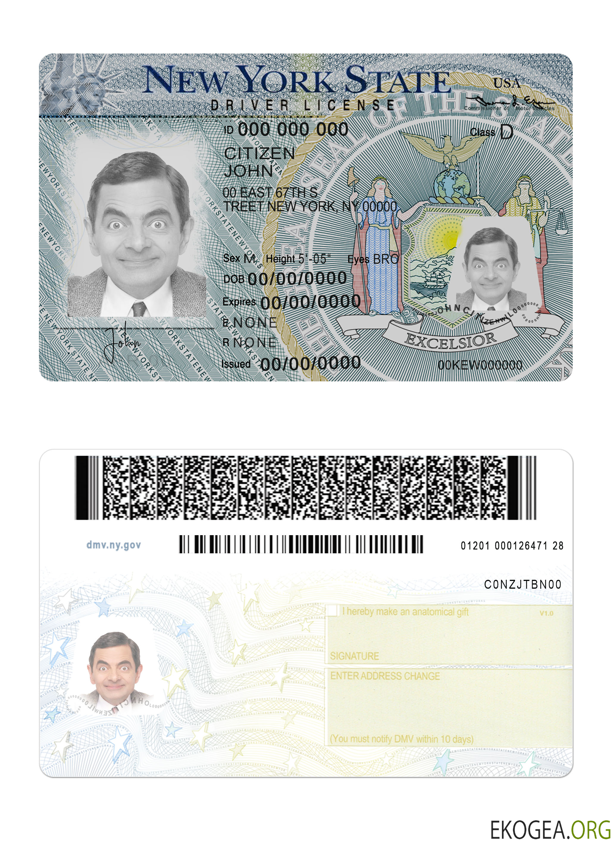 New York driving license version 2